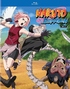 Naruto Shippuden: Set 2 (Blu-ray Movie)