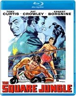 The Square Jungle (Blu-ray Movie)