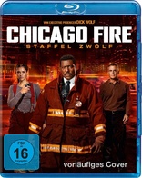 Chicago Fire: Season Twelve (Blu-ray Movie)