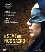 Il Seme del Fico Sacro (Blu-ray Movie)