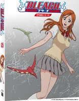 Bleach - Partie 5 (Blu-ray Movie)