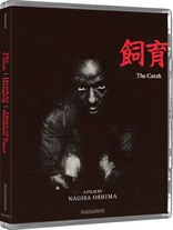 The Catch (Blu-ray Movie)