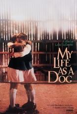 My Life as a Dog (Blu-ray Movie)