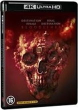 Final Destination: Bloodlines 4K (Blu-ray Movie), temporary cover art