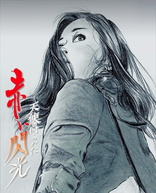 Angel Guts 6: Red Flash (Blu-ray Movie)