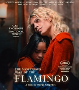 The Mysterious Gaze of the Flamingo (Blu-ray Movie)