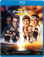Cobra Kai: Season Four (Blu-ray Movie)