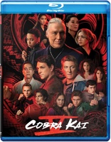 Cobra Kai: Season Five (Blu-ray Movie)