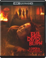 Evil Dead Burn 4K (Blu-ray Movie)