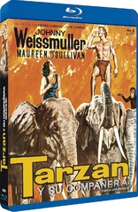 Tarzan and His Mate (Blu-ray Movie)