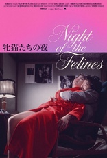 Night of the Felines (Blu-ray Movie)