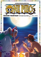 One Piece: Season 14 Voyage 11 (Blu-ray Movie)