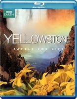 Yellowstone: Battle for Life (Blu-ray Movie)