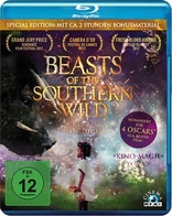 Beasts of the Southern Wild (Blu-ray Movie)