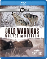 Nature: Cold Warriors: Wolves and Buffalo (Blu-ray Movie)