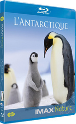 Antarctica: An Adventure of a Different Nature (Blu-ray Movie)