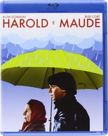 Harold and Maude (Blu-ray Movie)