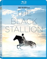 The Black Stallion (Blu-ray Movie)