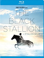 The Black Stallion (Blu-ray Movie), temporary cover art