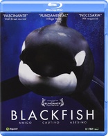 Blackfish (Blu-ray Movie), temporary cover art