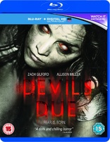 Devil's Due (Blu-ray Movie)