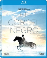 The Black Stallion (Blu-ray Movie)