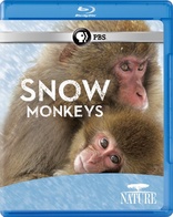 Nature: Snow Monkeys (Blu-ray Movie)