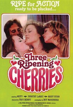 Three Ripening Cherries Three Ripening Cherries
